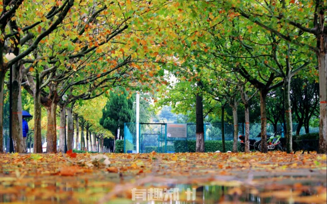 水上咖啡厅考校训、艺林曲艺社论节操，原来你是这样的*达升**