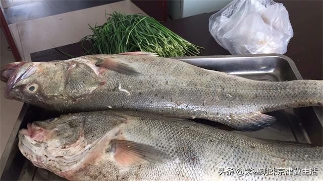 海边可以赶海吃住玩一体的农家院,秦皇岛黄金海岸牧海农家院