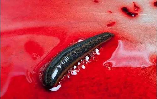 卫生部门应对河南洪水,国家卫生健康委发布洪水灾害