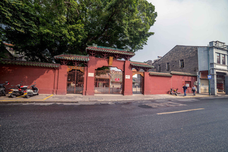 星湖冬日燃情，比落羽杉还要红的是什么？#我和湿地有个约会#