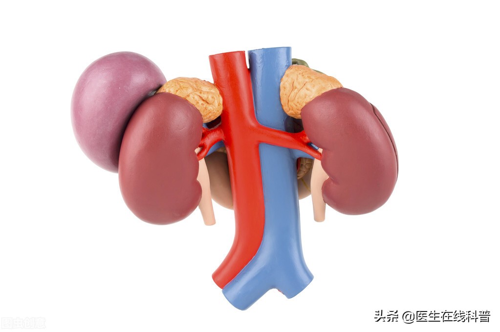 肾衰竭治疗日记,肾衰竭尿毒症经历