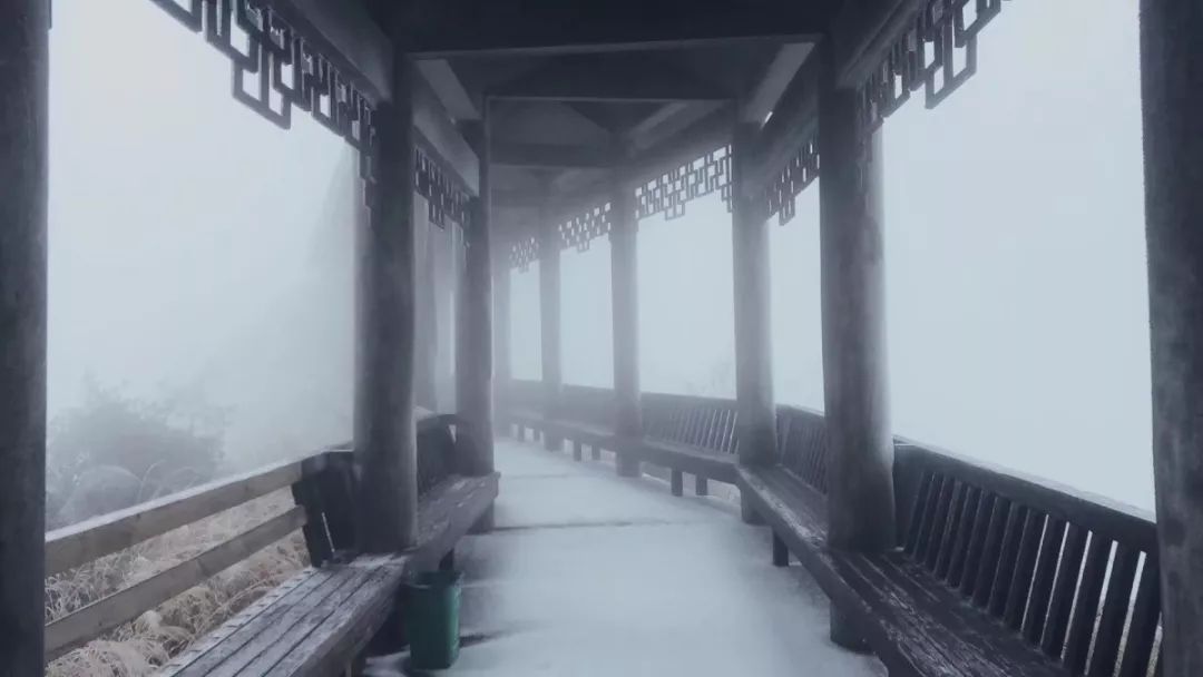 九仙山雾凇1到6度能看到吗,今天九仙山有雾凇吗