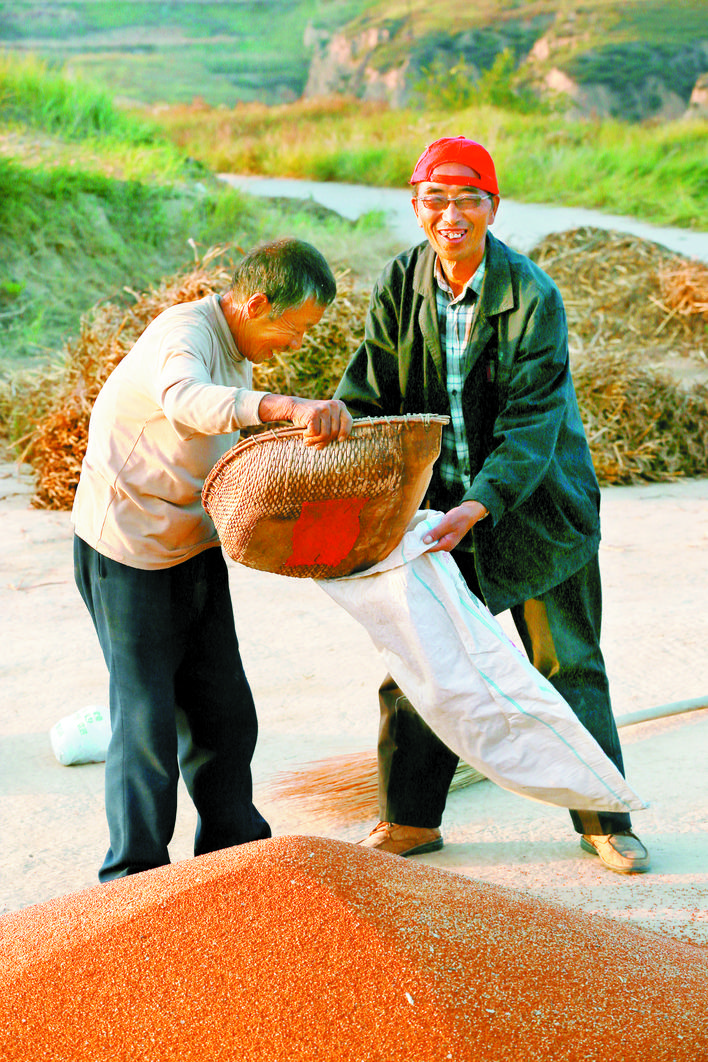 庆丰收感党恩山东各地丰收节活动,庆丰收感党恩宴席背景图片