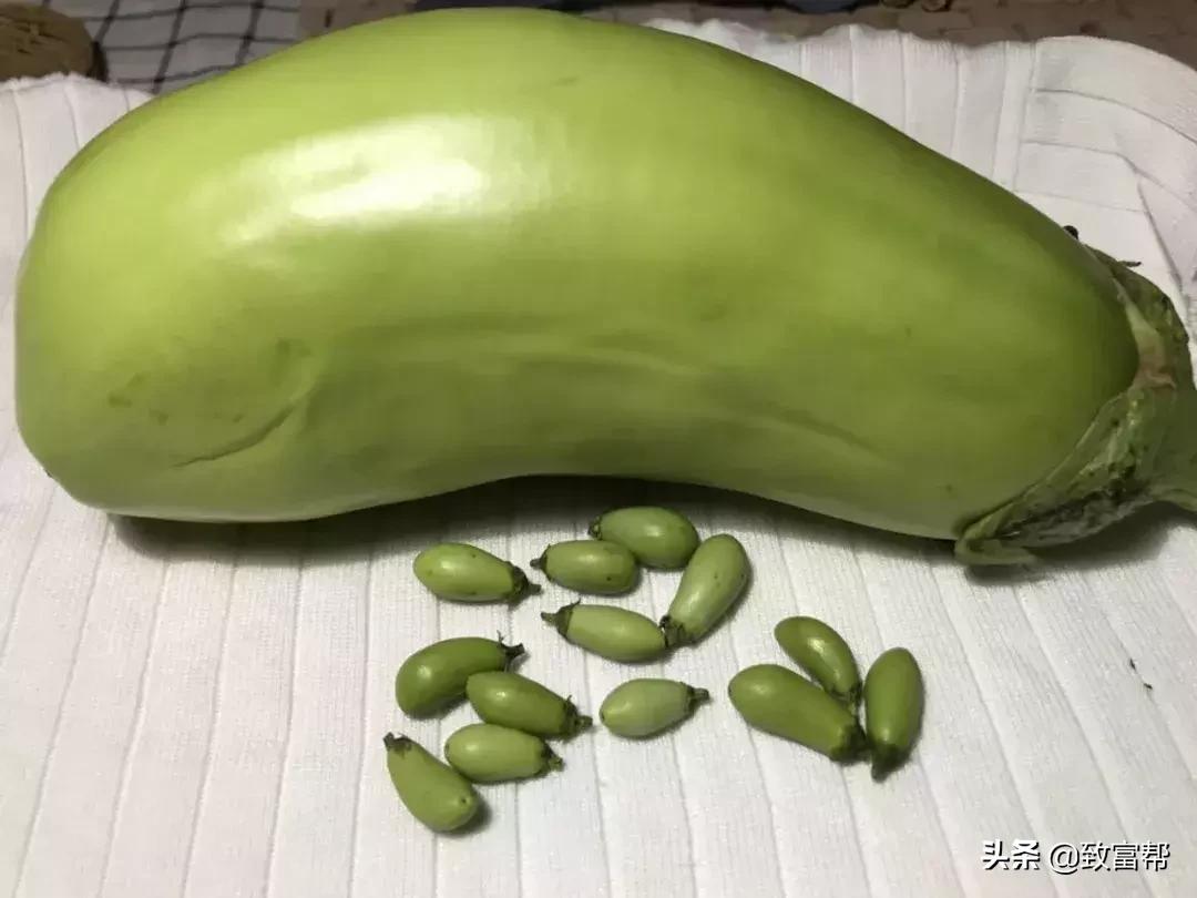 90后母亲被骗,90后妈妈因造假走红