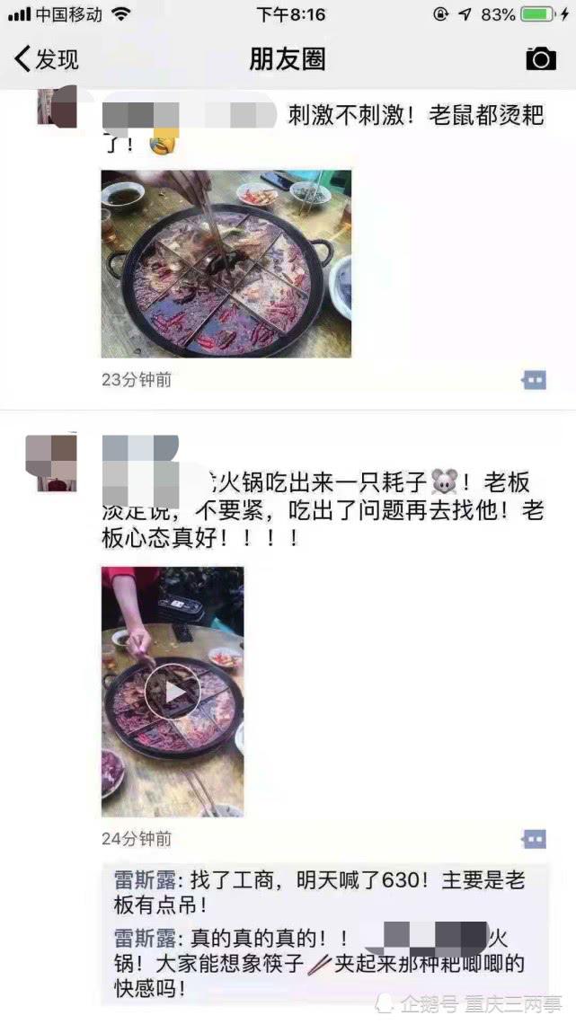 重庆哪家吃火锅吃出老鼠,重庆火锅吃出死老鼠