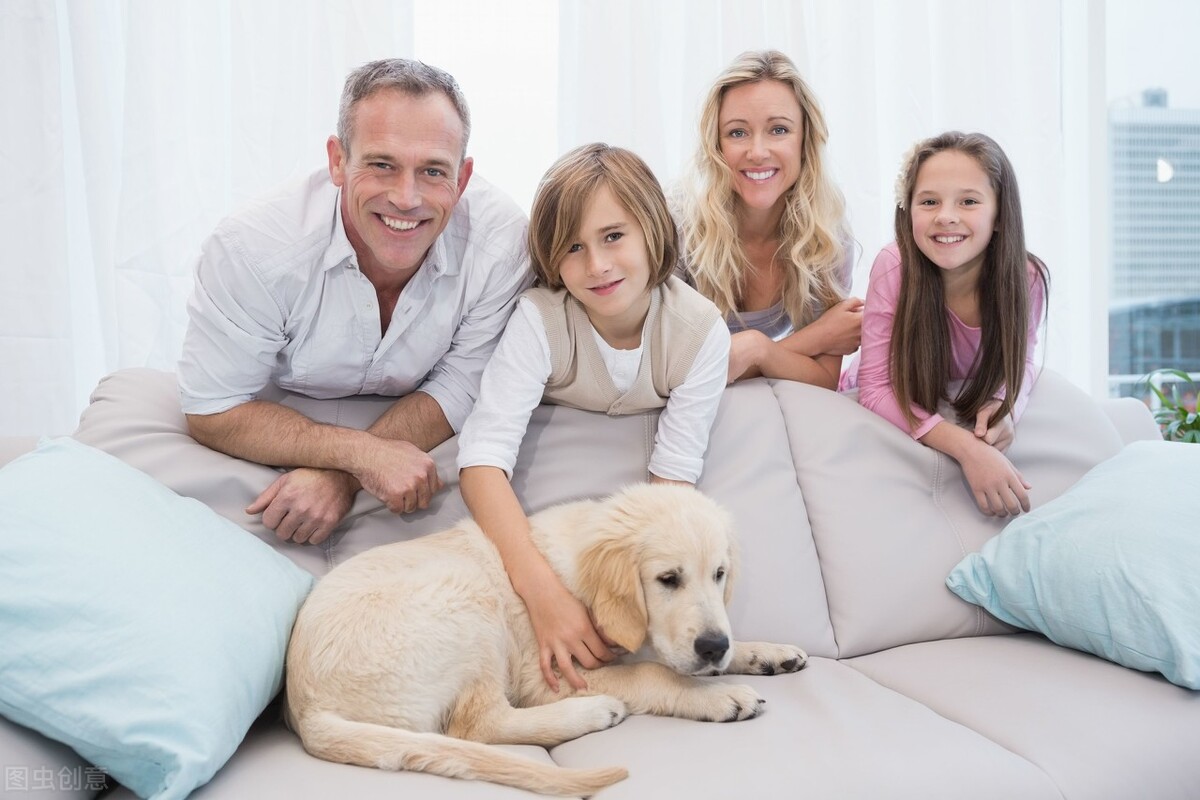 国际航空托运宠物狗的费用和要求,出国各航空托运宠物标准