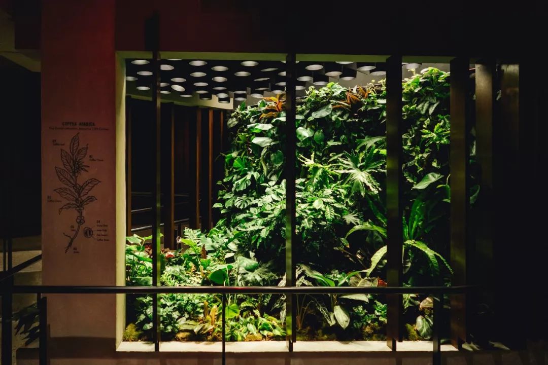 星巴克首席执行官哪里人,星巴克的设计是谁设计的