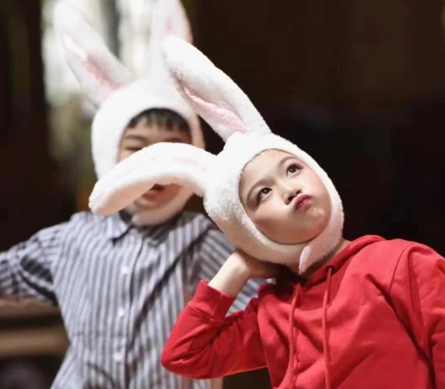 上海16区小学排行榜,上海16区小学梯队排名