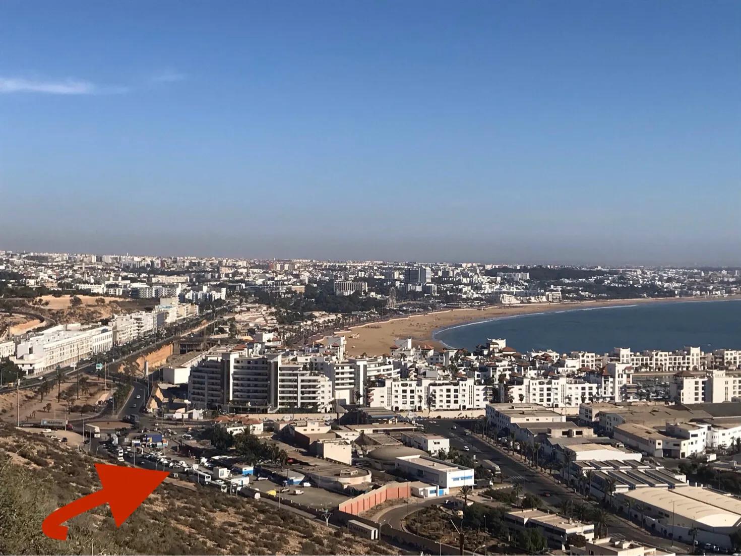 干炸沙丁鱼做法,香煎沙丁鱼做法