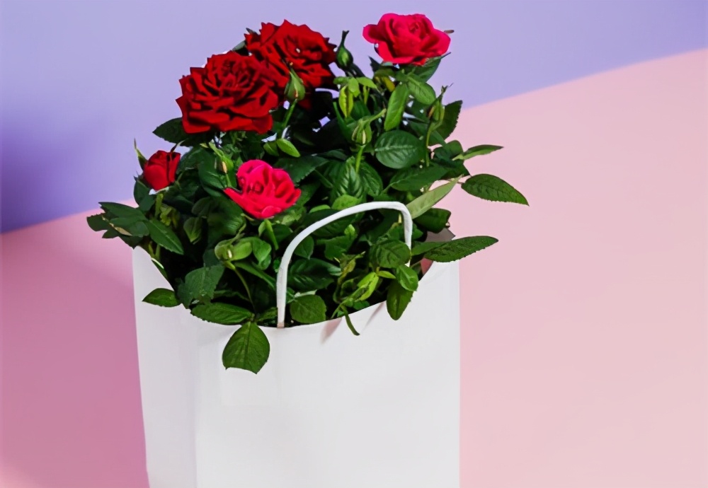 婚外情真爱一个人的表现,婚外遇到真爱该怎么放手