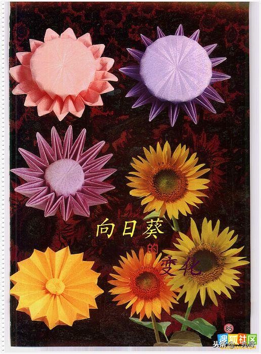 折纸大全方便又漂亮又实用,精致实用的折纸大全步骤