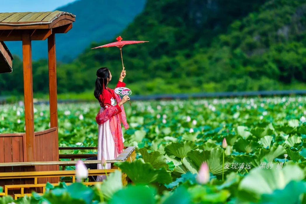 清远止林温泉民宿多少钱一晚,清远独立温泉民宿度假村排名榜
