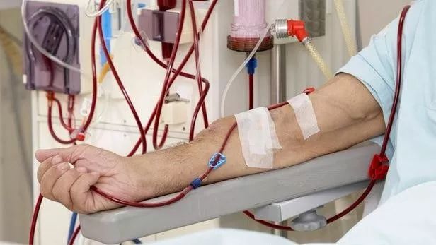 健康解密新陈代谢,日本健康促进法