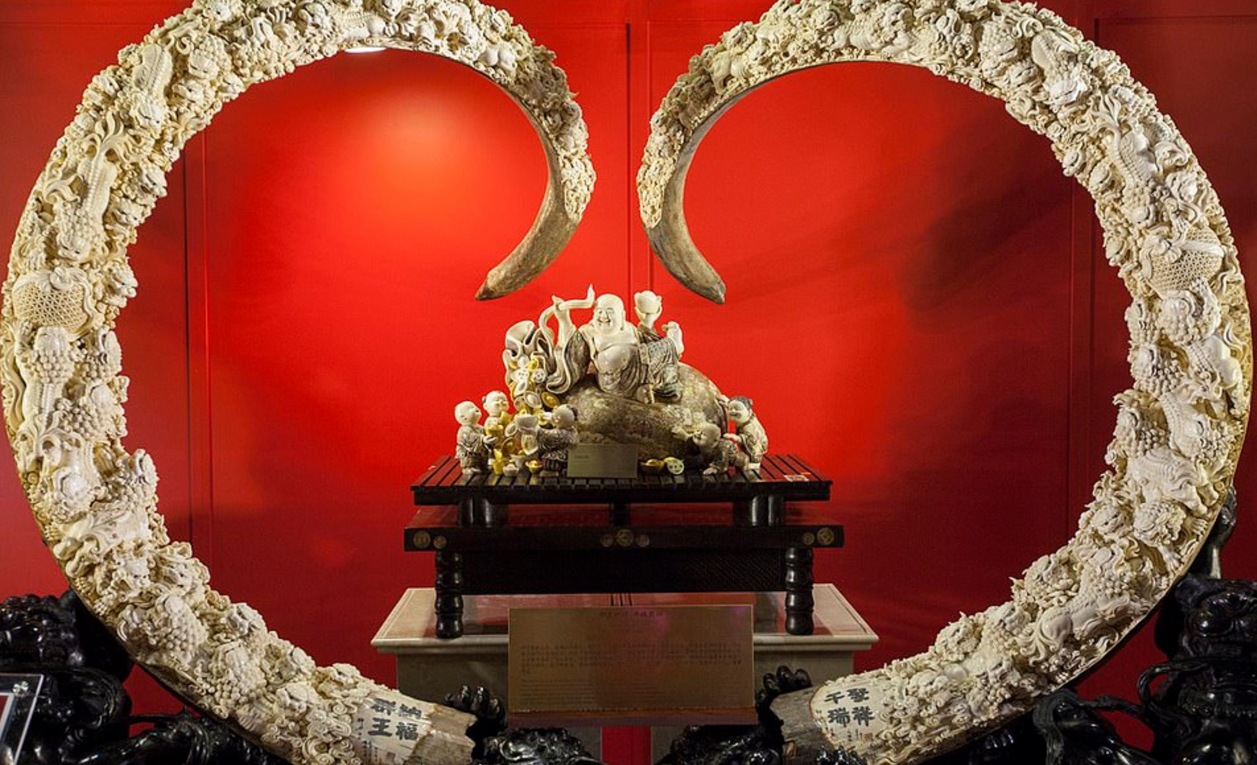 战斗民族挖宝藏,东北出土猛犸象牙