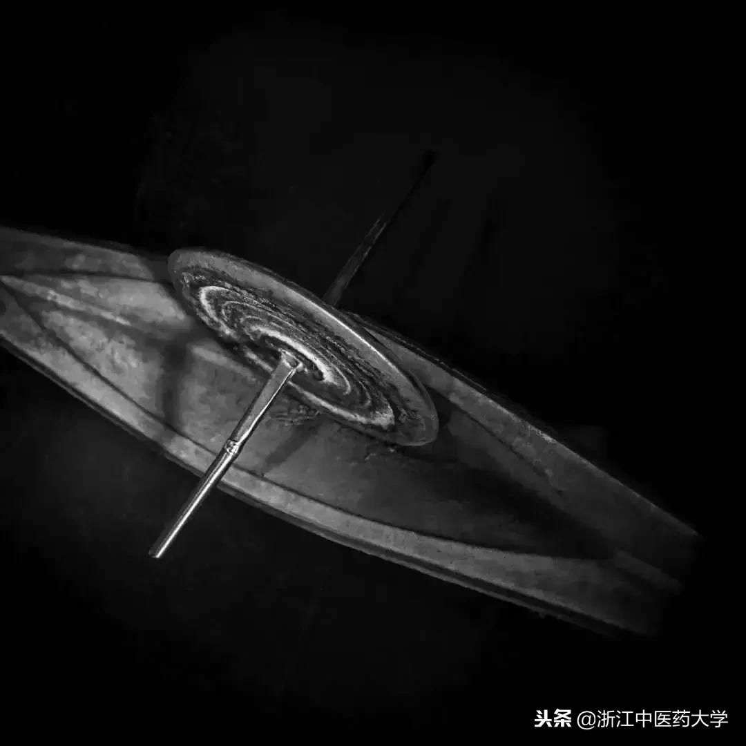 用镜头诉说中医药之美