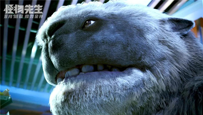 陈坤李现电影大全,李现和陈坤电影