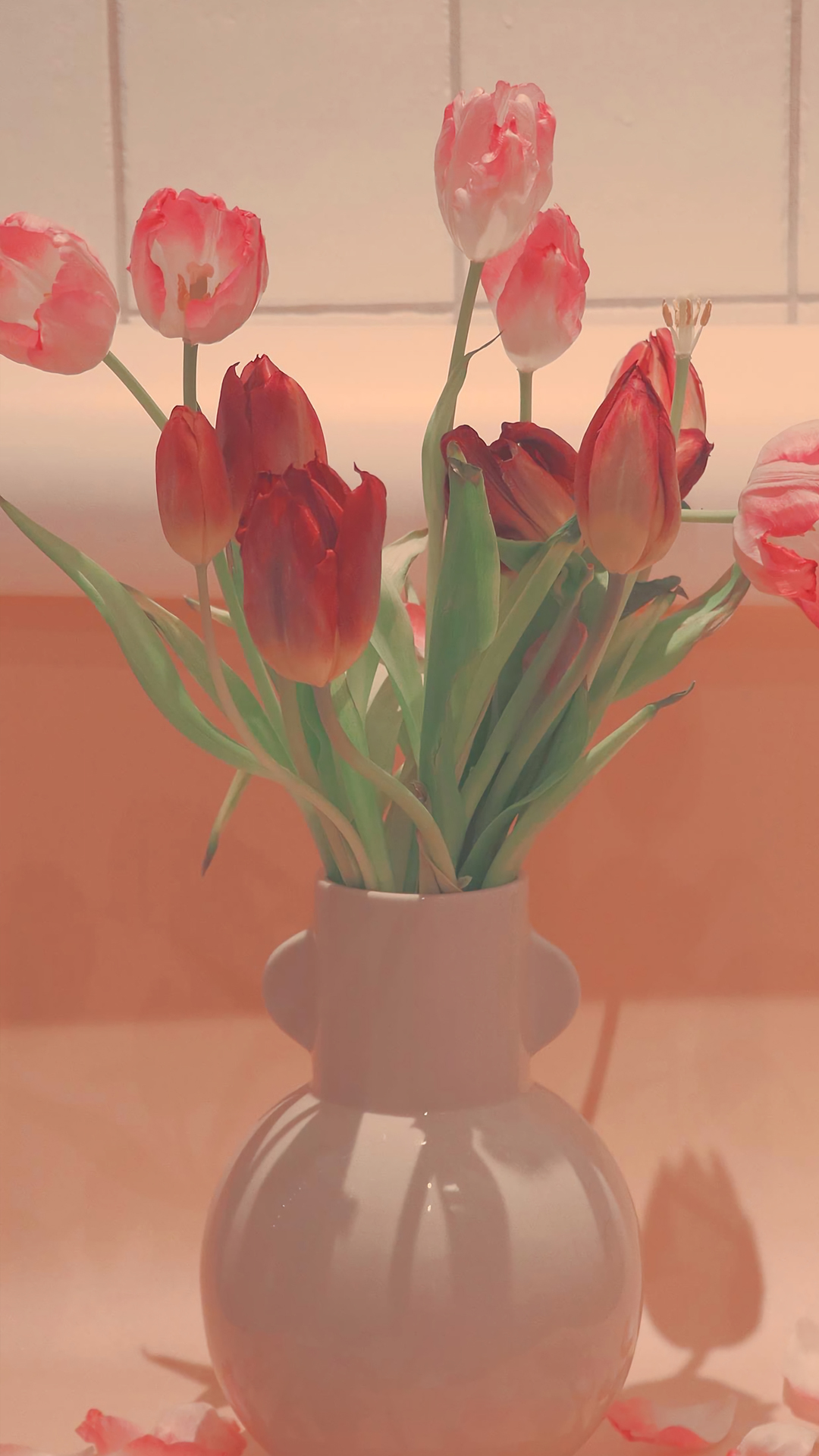 100张绝美壁纸海景,绝美壁纸夕阳窗户