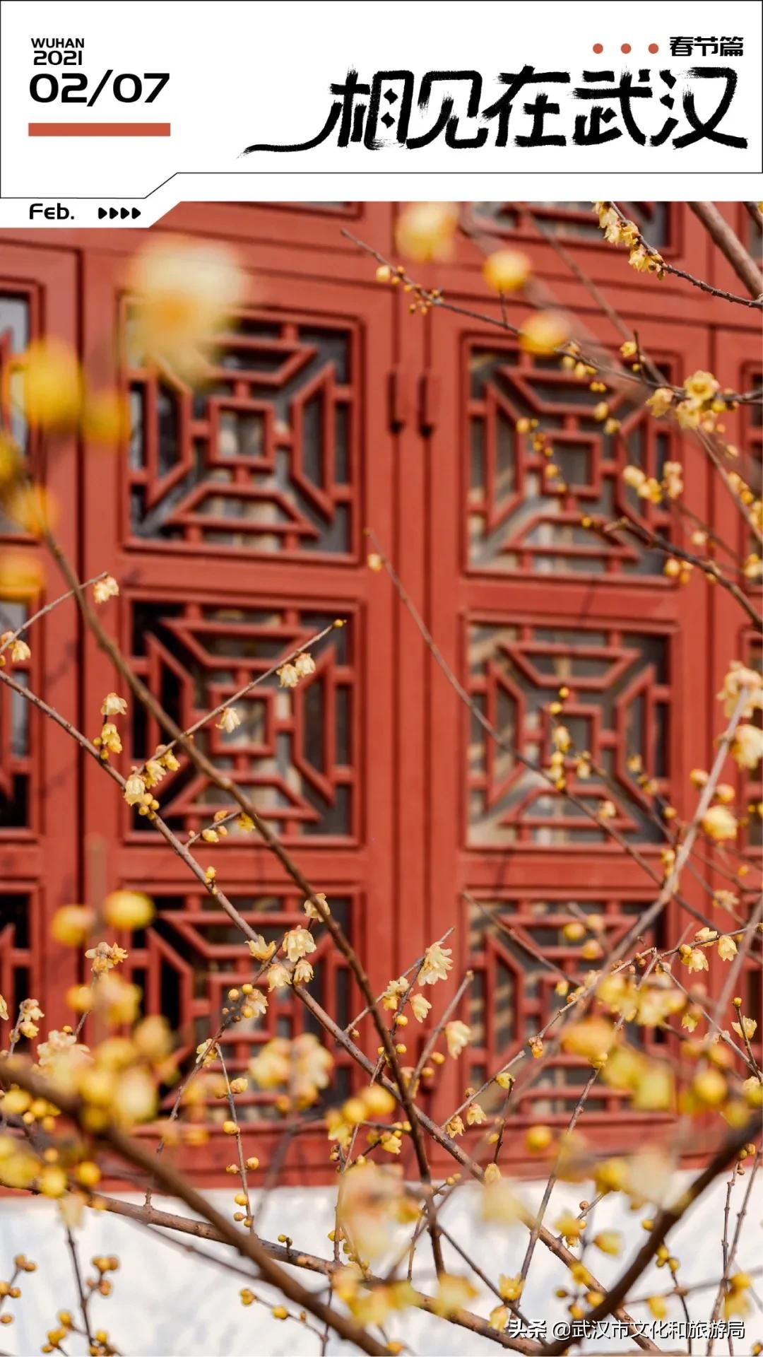 武汉人春节都去哪里玩,武汉人游玩攻略必去景点