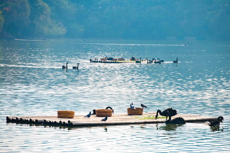 广州长隆野生动物世界旅游攻略,长隆野生动物世界攻略2-3天广州游