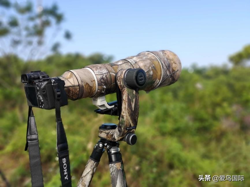 索尼selp1670镜头评测,索尼alpha9镜头