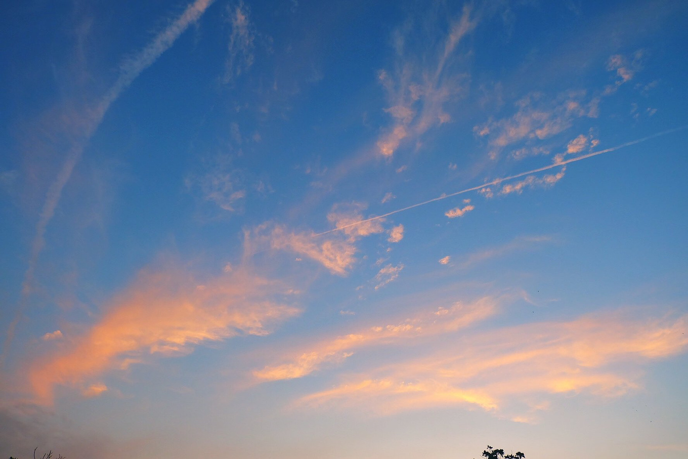 骆驼青岛,骆驼旅行在路上
