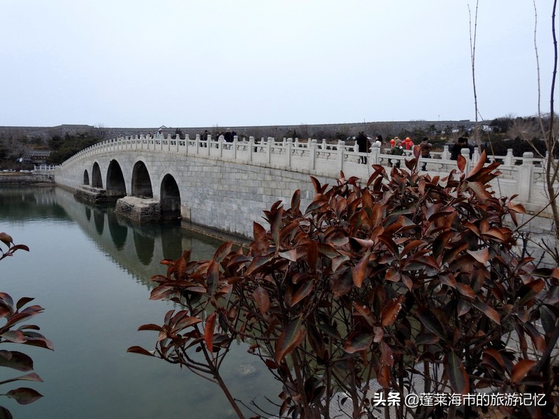 蓬莱户口去蓬莱阁,蓬莱人游蓬莱