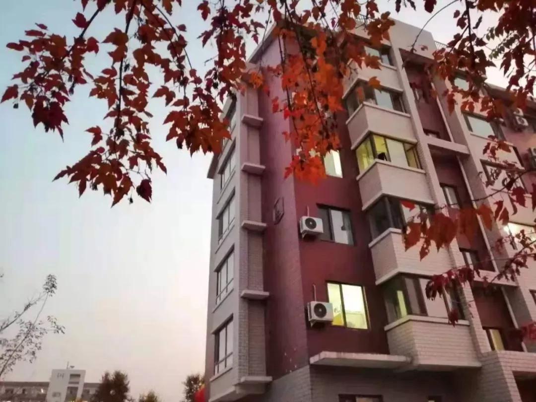 辽宁中医药大学杏林学院有独卫吗,辽宁中医药大学杏林学院属于3+2吗