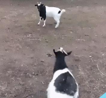 真正的*男猛**擅长挨打