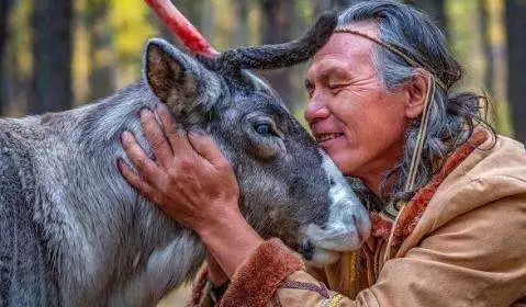 驯鹿的10大特征,介绍一下驯鹿的特点