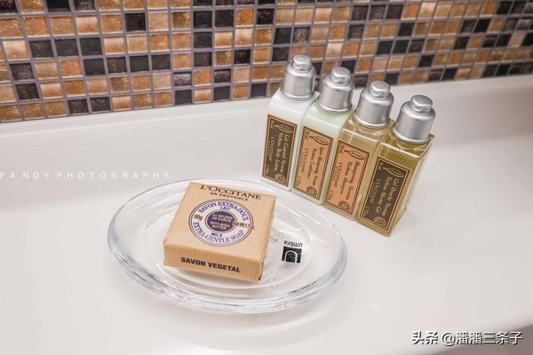 海洋光谱号升级精品游,海洋光谱号转港