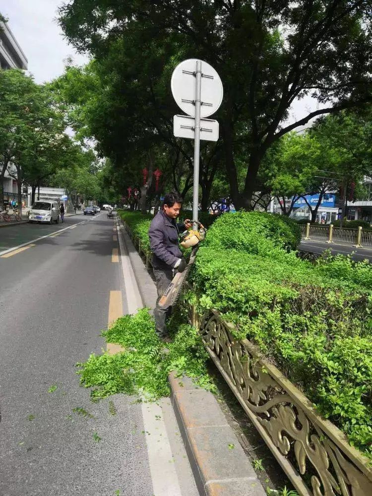 战高温斗酷暑坚守一线工地,战高温斗酷暑坚守一线照片