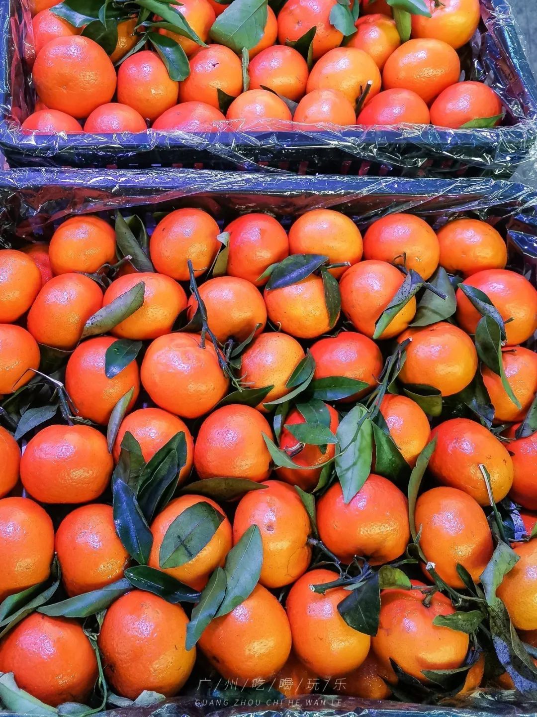 地铁坐到水果市场附近,广州天平架水果市场