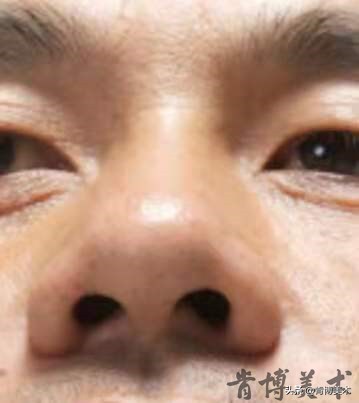 素描入门零基础教程人像鼻子,素描人物头像鼻子详细教程