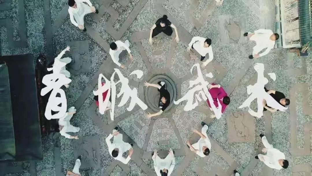 传统运动国家级非物质文化遗产,非遗文化杂技