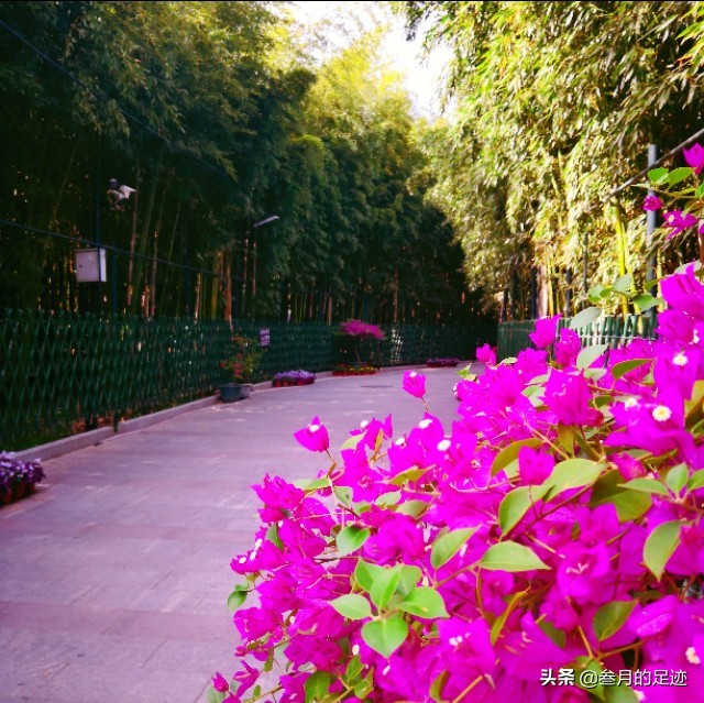 京郊古寺攻略,京郊古寺