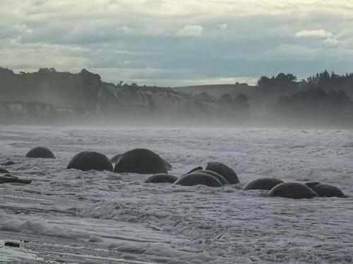 新西兰海边的巨石蛋,新西兰海滩神秘生物