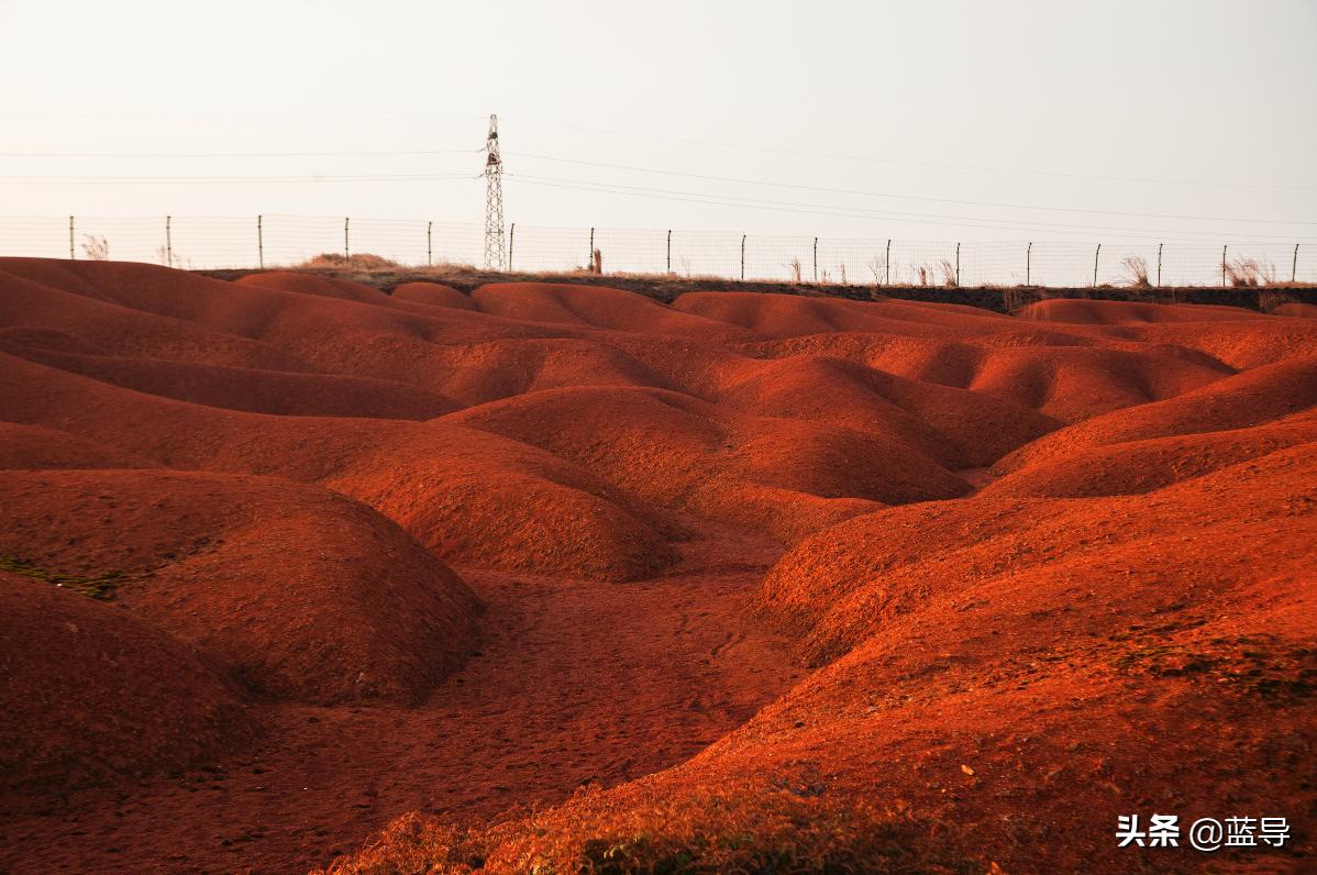 佳能24-105mm评测,佳能24-105适合拍摄的场景