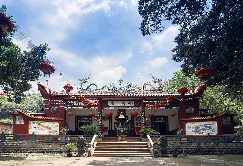 福州白马三郎的照片,白马三郎年轻时照片