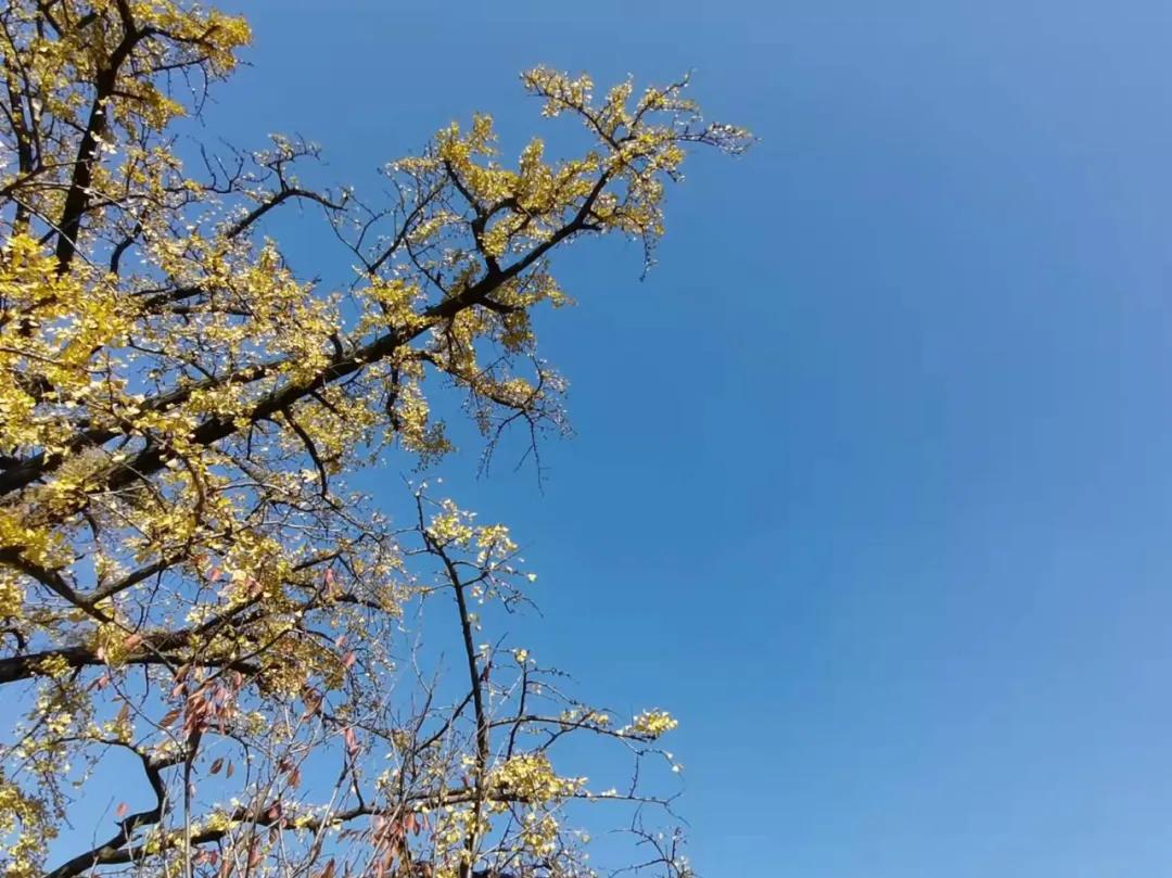 行走｜物华天宝宝华山