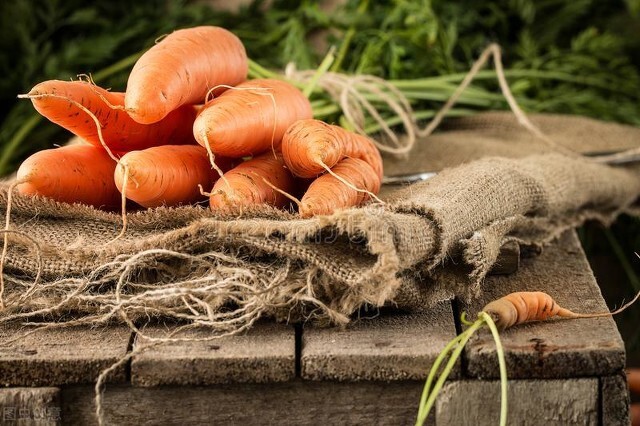 猫咪能吃的人类零食,猫咪咬过的食物还能吃吗