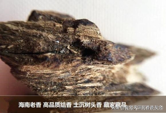 海南沉香特征图解,海南红土沉香味道和特征