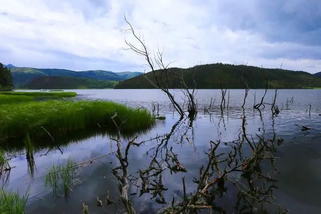 游学夏令营第一天完美收官,2023夏令营游学十大排名
