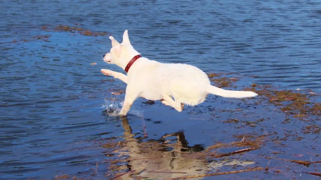 怎么样才能去投行工作,投行中的工作