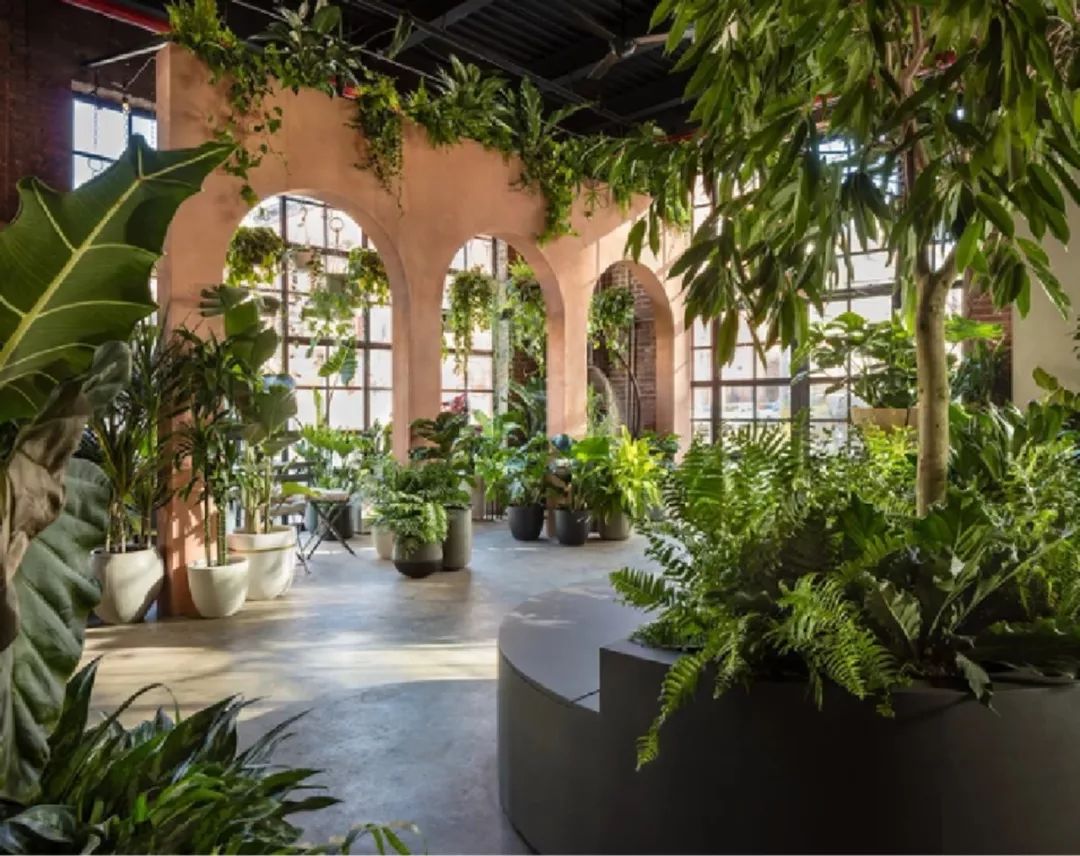 五朵金花小学成都,成都五朵金花小学解读