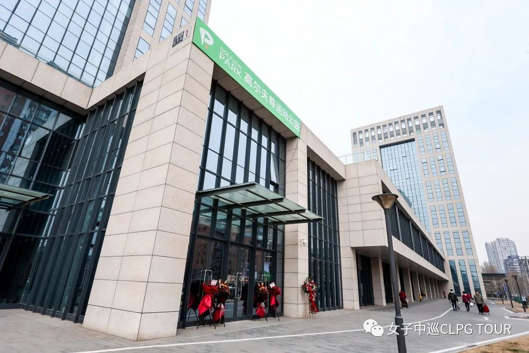 张维为锦标赛,张维为冠军