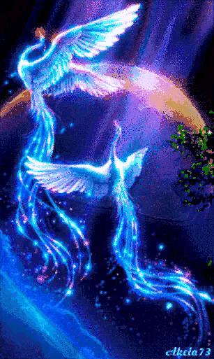 鍑ゅ嚢鏉ヤ华瀵撴剰,鍑ゅ嚢鏉ヤ华姘旀伅褰掑厓