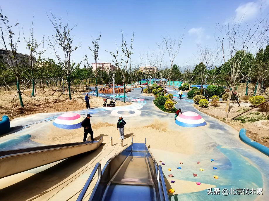 市区又多一个遛娃圣地,不花钱的遛娃胜地