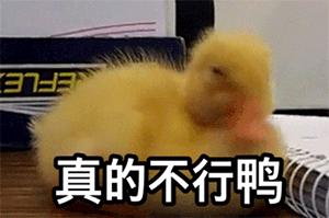 生长纹会慢慢消失吗,怎么样才能阻止生长纹