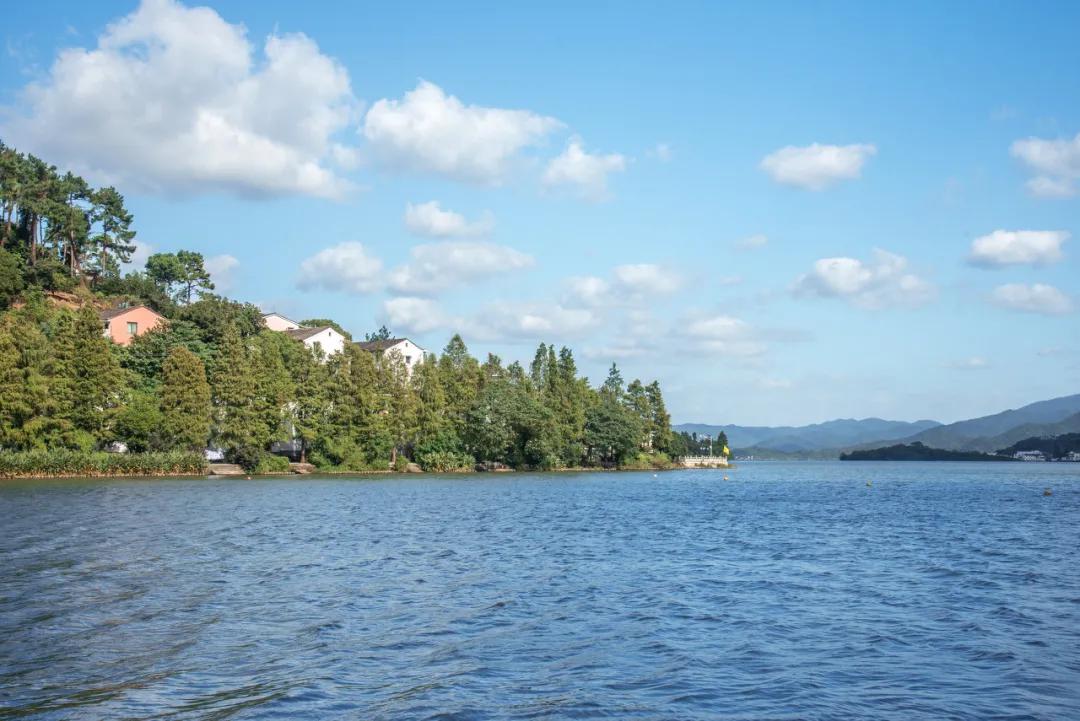 这该死的魅力原版视频,这该死的魅力原版