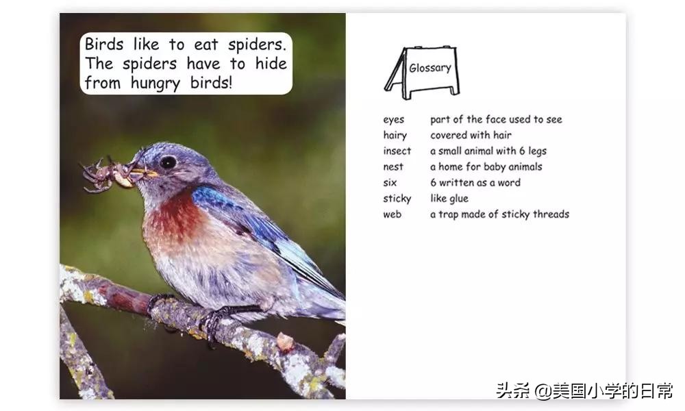 儿童阅读分级读物,大量给孩子阅读分级读物